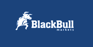 Black Bull Markets