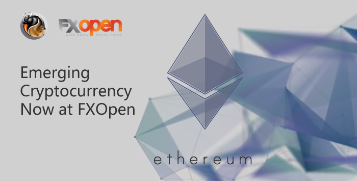 Enjoy trading with 0 Percent ECN Comission