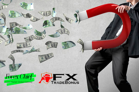 ForexChief - Fast Warren, Fortnightly Live Contest